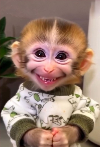 RCT Treatment in Bankstown  Smiles on Chapel