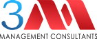 3M Management Consultant