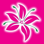 Best gift basket online in sint maarten