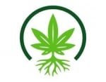 MySeeds Onlineshop für hochwertige Cannabissamen