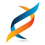 Nalashaa - Software Development and IT Solutions Provider