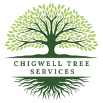 Chigwell Tree Services