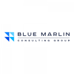 BMCG - Technology Consulting Firm