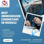 Best Immigration Consultant in Mohali  SVS Consulting Group