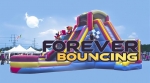 FOREVER BOUNCING SKYHIGH LLC