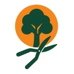 Entreprise abattage élagage Poitiers