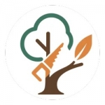 Services d'elagage tourcoing