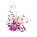 Hepatica Florist