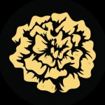 Blak Marigold Studio