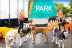 Dogtopia of New Rochelle