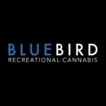 BlueBird