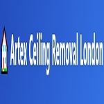https://artexceilingremovallondon.co.uk
