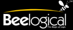 Bee-Logical - The Magic of Logic