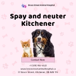 Spay and Neuter Clinic in Kitchener - Caring Pet Surgery