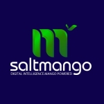 Best Digital Marketing Agency in Nashville TN | Salt Mango 