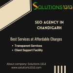SEO Agency in Chadigarh