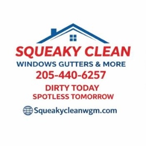Squeaky Clean Windows, Gutters & More