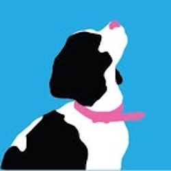 Windy City Paws