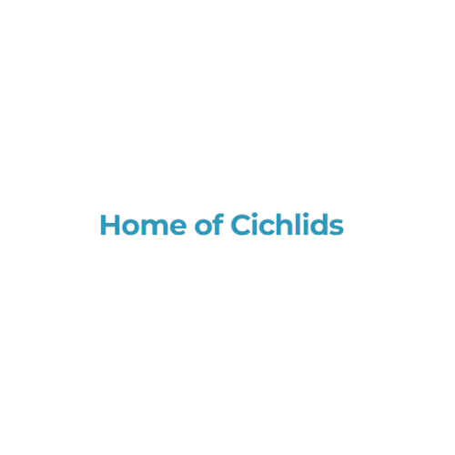 Home of Cichlids | Premium African & American Fish Online