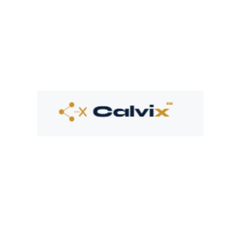 Calvix Technology Solutions: Your IT & Automation Partner