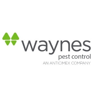 Waynes Pest Control