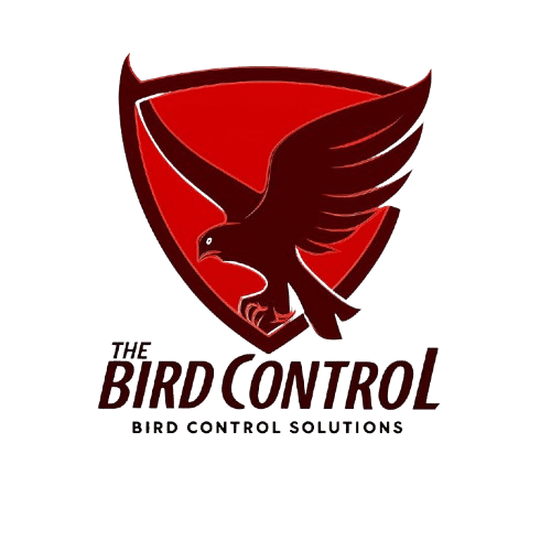 Expert Bird Control Solutions in Dubai - Safe & Effective