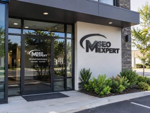 Top-Rated SEO Services in the USA | MSEOExpert