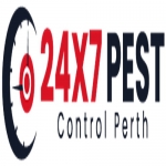 Spider Pest Control Perth