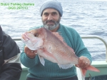 Deep Sea Fishing Sydney - Bravo Fishing