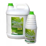 Neem Products,Natural Neem Products,Indian Neem Products