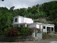 Irie Heights Jamaican Eco Farm