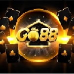 33windefendemos