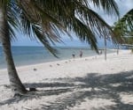 Florida Keys Girl: Life in Key West and Beyond