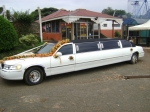 executive limousines and carhire services