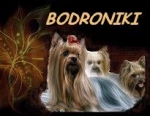 Bodroniki Kennels