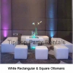 SPECIAL EVENT LOUNGE FURNITURE AND PARTY RENTALS