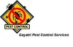 Gayatri Pest Control Services. Termite Specialist.