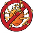 Kill and Prevent Bed Bugs Naturally