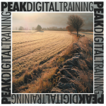 Digital photography courses