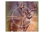 Hunting Products |Archery Bows for Sale | Deer Hunting Cloth