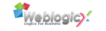 Web Designing And Search Engine Optimization Services - Pune