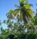 Boipeba
