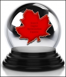 Ottawa SEO