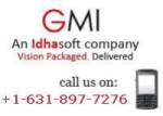 GMI offering Social Networking Development
