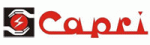 Capri group is the largest manufacturers of electricals and