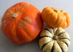 All about Pumpkins