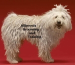 Allbreeds Grooming and Training
