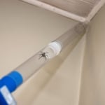 Bug Catchers Without Harming Bugs!