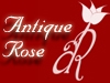 Antique Rose - Toronto Florist