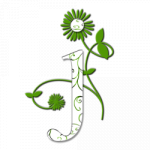 Wedding Photographer